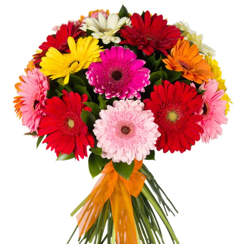 Букет из 19 гербер с зеленью, доставка Уварово
